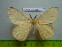 ( - barcode SNB 3053)  @13 [ ] Copyright (2010) Stefan Naumann Research Collection of Stefan Naumann