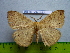  ( - barcode SNB 3060)  @12 [ ] Copyright (2010) Stefan Naumann Research Collection of Stefan Naumann