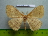  ( - barcode SNB 3061)  @13 [ ] Copyright (2010) Stefan Naumann Research Collection of Stefan Naumann
