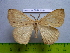  ( - barcode SNB 3064)  @12 [ ] Copyright (2010) Stefan Naumann Research Collection of Stefan Naumann