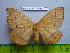  ( - barcode SNB 3065)  @12 [ ] Copyright (2010) Stefan Naumann Research Collection of Stefan Naumann