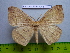  ( - barcode SNB 3068)  @12 [ ] Copyright (2010) Stefan Naumann Research Collection of Stefan Naumann
