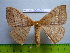  ( - barcode SNB 3075)  @14 [ ] Copyright (2010) Stefan Naumann Research Collection of Stefan Naumann