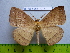  ( - barcode SNB 3076)  @13 [ ] Copyright (2010) Stefan Naumann Research Collection of Stefan Naumann
