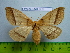  ( - barcode SNB 3080)  @12 [ ] Copyright (2010) Stefan Naumann Research Collection of Stefan Naumann