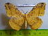  ( - barcode SNB 3088)  @13 [ ] Copyright (2010) Stefan Naumann Research Collection of Stefan Naumann