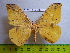  ( - barcode SNB 3090)  @12 [ ] Copyright (2010) Stefan Naumann Research Collection of Stefan Naumann