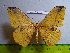  ( - barcode SNB 3093)  @12 [ ] Copyright (2010) Stefan Naumann Research Collection of Stefan Naumann
