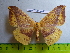 ( - barcode SNB 3096)  @12 [ ] Copyright (2010) Stefan Naumann Research Collection of Stefan Naumann