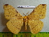  ( - barcode SNB 3103)  @14 [ ] Copyright (2010) Stefan Naumann Research Collection of Stefan Naumann