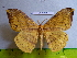  ( - barcode SNB 3105)  @13 [ ] Copyright (2010) Stefan Naumann Research Collection of Stefan Naumann