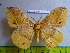  ( - barcode SNB 3107)  @13 [ ] Copyright (2010) Stefan Naumann Research Collection of Stefan Naumann