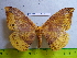  ( - barcode SNB 3118)  @13 [ ] Copyright (2010) Stefan Naumann Research Collection of Stefan Naumann