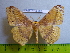  ( - barcode SNB 3126)  @12 [ ] Copyright (2010) Stefan Naumann Research Collection of Stefan Naumann