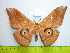  ( - barcode SNB 3325)  @12 [ ] Copyright (2012) Stefan Naumann Research Collection of Stefan Naumann