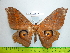  ( - barcode SNB 3327)  @12 [ ] Copyright (2012) Stefan Naumann Research Collection of Stefan Naumann