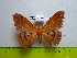  ( - barcode SNB 3332)  @13 [ ] Copyright (2012) Stefan Naumann Research Collection of Stefan Naumann