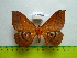  ( - barcode SNB 3333)  @13 [ ] Copyright (2012) Stefan Naumann Research Collection of Stefan Naumann