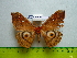  ( - barcode SNB 3334)  @13 [ ] Copyright (2012) Stefan Naumann Research Collection of Stefan Naumann
