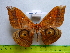  ( - barcode SNB 3347)  @12 [ ] Copyright (2012) Stefan Naumann Research Collection of Stefan Naumann