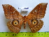  ( - barcode SNB 3360)  @13 [ ] Copyright (2012) Stefan Naumann Research Collection of Stefan Naumann