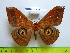  ( - barcode SNB 3364)  @13 [ ] Copyright (2012) Stefan Naumann Research Collection of Stefan Naumann