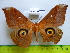  ( - barcode SNB 3366)  @13 [ ] Copyright (2012) Stefan Naumann Research Collection of Stefan Naumann