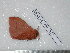  ( - barcode SNB 3607)  @12 [ ] Copyright (2012) Stefan Naumann Research Collection of Stefan Naumann