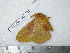  ( - barcode SNB 3651)  @12 [ ] Copyright (2012) Stefan Naumann Research Collection of Stefan Naumann