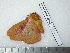  ( - barcode SNB 3653)  @12 [ ] Copyright (2012) Stefan Naumann Research Collection of Stefan Naumann