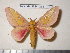  ( - barcode SNB 4268)  @14 [ ] Copyright (2012) Stefan Naumann Research Collection of Stefan Naumann