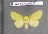  ( - barcode SNB 4391)  @13 [ ] Copyright (2012) Stefan Naumann Research Collection of Stefan Naumann
