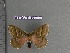  ( - barcode SNB 4413)  @12 [ ] Copyright (2012) Stefan Naumann Research Collection of Stefan Naumann
