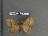  ( - barcode SNB 4414)  @12 [ ] Copyright (2012) Stefan Naumann Research Collection of Stefan Naumann