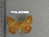  ( - barcode SNB 4442)  @12 [ ] Copyright (2012) Stefan Naumann Research Collection of Stefan Naumann