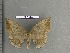  ( - barcode SNB 4444)  @12 [ ] Copyright (2012) Stefan Naumann Research Collection of Stefan Naumann