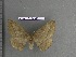  ( - barcode SNB 4445)  @12 [ ] Copyright (2012) Stefan Naumann Research Collection of Stefan Naumann