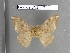  ( - barcode SNB 4471)  @13 [ ] Copyright (2012) Stefan Naumann Research Collection of Stefan Naumann