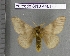  ( - barcode SNB 4481)  @14 [ ] Copyright (2012) Stefan Naumann Research Collection of Stefan Naumann