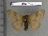  ( - barcode SNB 4482)  @11 [ ] Copyright (2012) Stefan Naumann Research Collection of Stefan Naumann