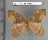  ( - barcode SNB 4498)  @13 [ ] Copyright (2012) Stefan Naumann Research Collection of Stefan Naumann