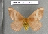  ( - barcode SNB 4499)  @12 [ ] Copyright (2012) Stefan Naumann Research Collection of Stefan Naumann