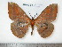  ( - barcode SNB 4566)  @13 [ ] Copyright (2012) Stefan Naumann Research Collection of Stefan Naumann
