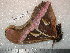  ( - barcode SNB 5163)  @11 [ ] Copyright (2010) Stefan Naumann Research Collection of Stefan Naumann