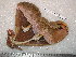 ( - barcode SNB 5165)  @12 [ ] Copyright (2010) Stefan Naumann Research Collection of Stefan Naumann