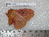  ( - barcode SNB 5195)  @12 [ ] Copyright (2010) Stefan Naumann Research Collection of Stefan Naumann
