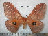  ( - barcode SNB 5232)  @13 [ ] Copyright (2013) Stefan Naumann Research Collection of Stefan Naumann