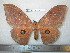 ( - barcode SNB 5237)  @13 [ ] Copyright (2013) Stefan Naumann Research Collection of Stefan Naumann