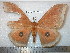  ( - barcode SNB 5239)  @13 [ ] Copyright (2013) Stefan Naumann Research Collection of Stefan Naumann