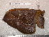  ( - barcode SNB 5288)  @13 [ ] Copyright (2013) Stefan Naumann Research Collection of Stefan Naumann